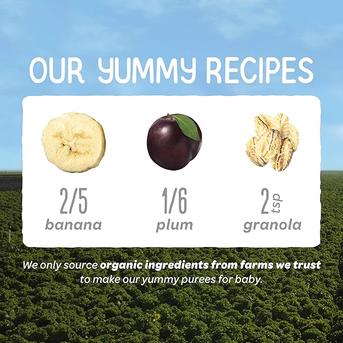 Happy Baby Organics Stage 2 Baby Food Pouches, Gluten Free, Vegan & Healthy - Image 4