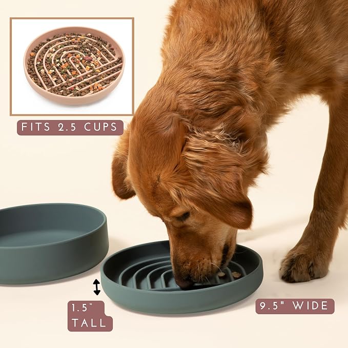 Should We Go? Slow Feeder for Dogs & Puppies, The Slowdown Bowl Silicone Slow - Image 4