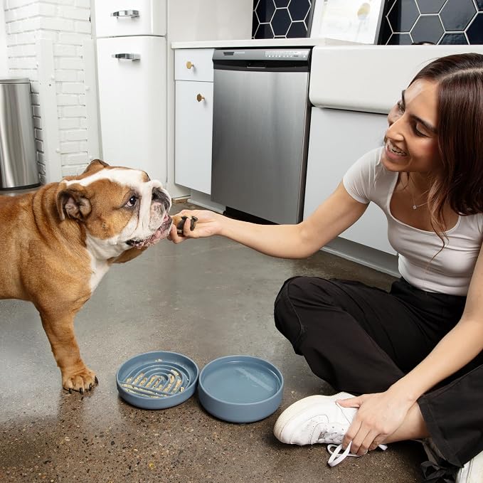 Should We Go? Slow Feeder for Dogs & Puppies, The Slowdown Bowl Silicone Slow - Image 2