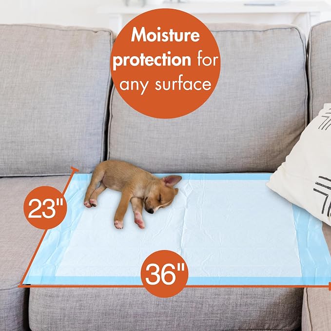 Caring Disposable Underpads 23 x 36 in, Moderate Absorbency Bed Pads, Chucks - Image 2