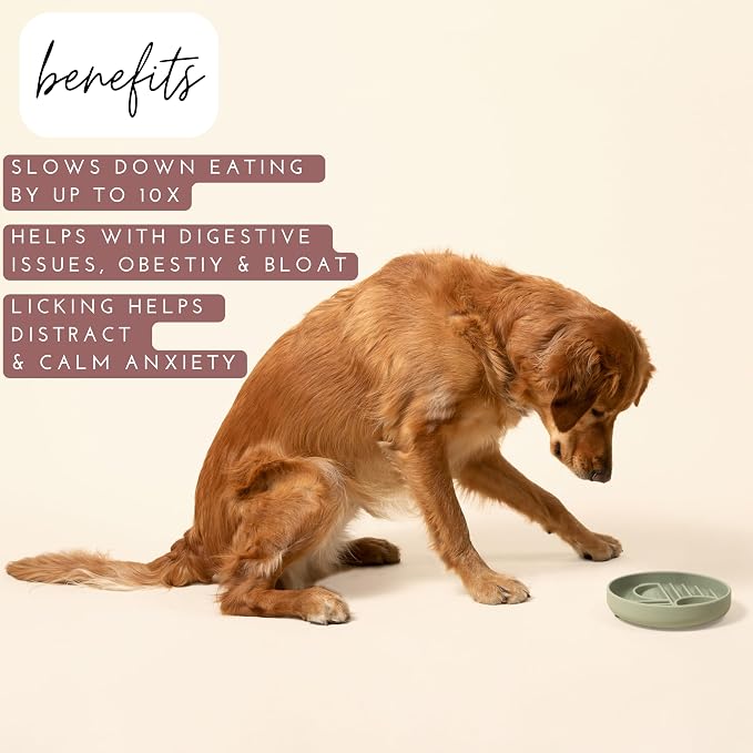 Should We Go? Slow Feeder for Dogs & Puppies, The Slowdown Bowl Silicone Slow - Image 3