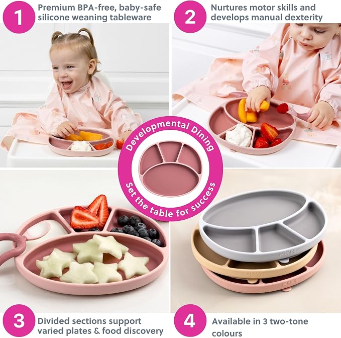 BIBaDO - Silicone Suction Divider Plate - Toddler Plates - Help Develop Motor - Image 5
