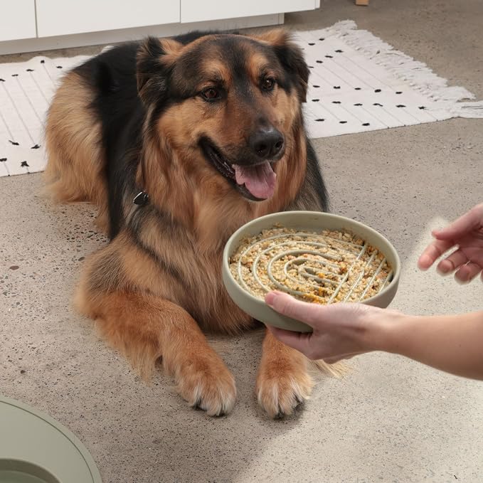 Should We Go? Slow Feeder for Dogs & Puppies, The Slowdown Bowl Silicone Slow - Image 6