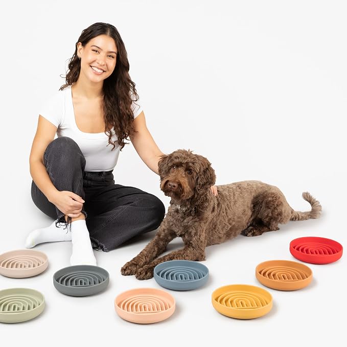 Should We Go? Slow Feeder for Dogs & Puppies, The Slowdown Bowl Silicone Slow - Image 5