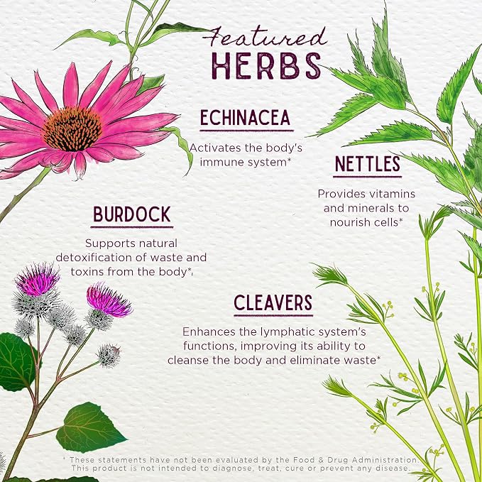WishGarden Herbs Daily Immune Builder - Image 4