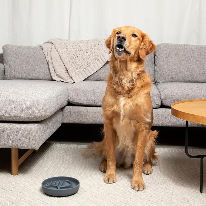 Should We Go? Slow Feeder for Dogs & Puppies, The Slowdown Bowl Silicone Slow - Image 6