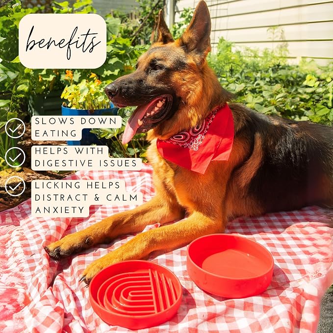 Should We Go? Slow Feeder for Dogs & Puppies, The Slowdown Bowl Silicone Slow - Image 2