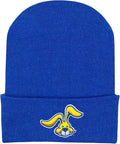 College Baby NCAA Officially Licensed Infant Knit Cap by CollegeBaby