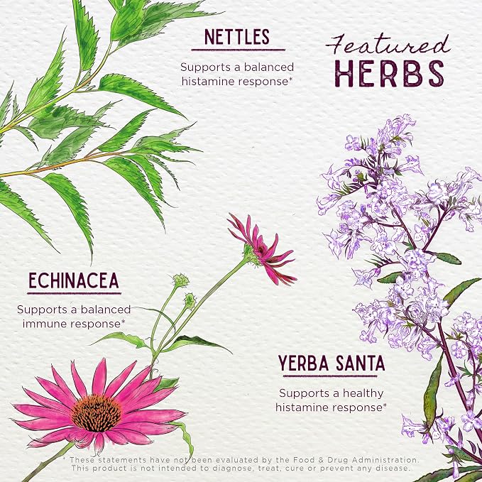 WishGarden Herbs Kick-It Allergy - Image 4