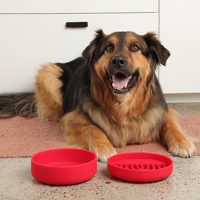 Should We Go? Slow Feeder for Dogs & Puppies, The Slowdown Bowl Silicone Slow - Image 6