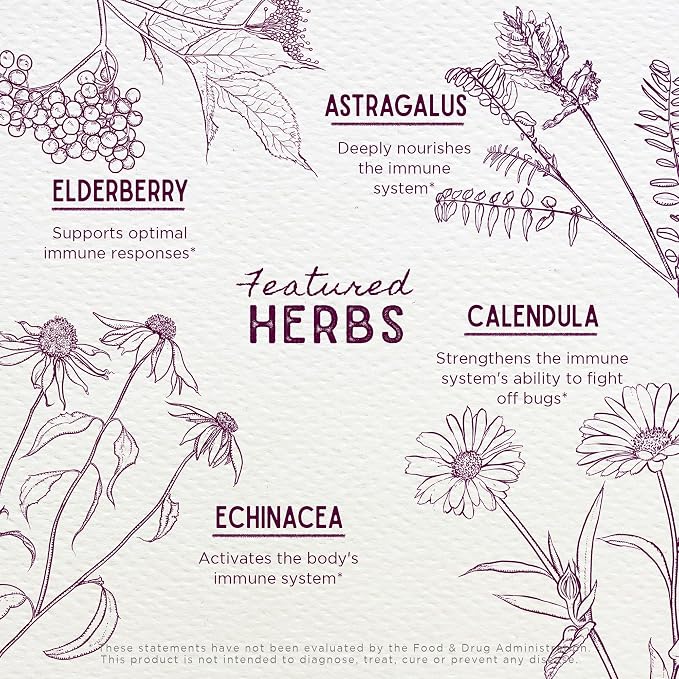 WishGarden Herbs Daily Immune for Kids - Image 4