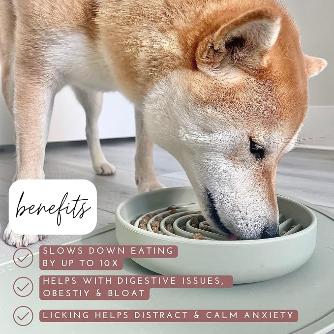 Should We Go? Slow Feeder for Dogs & Puppies, The Slowdown Bowl Silicone Slow - Image 3